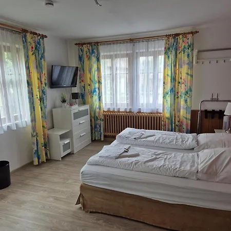 Boutiquehotel Goldene Rose - self-check-in-2